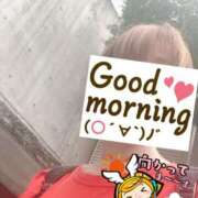 ヒメ日記 2025/07/15 06:27 投稿 もも トマトなび