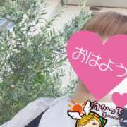 ヒメ日記 2025/07/21 06:24 投稿 もも トマトなび