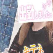 ヒメ日記 2025/07/24 07:36 投稿 もも トマトなび