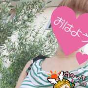 ヒメ日記 2025/07/27 06:23 投稿 もも トマトなび