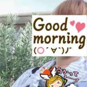 ヒメ日記 2025/07/28 06:28 投稿 もも トマトなび