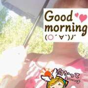 ヒメ日記 2025/07/29 06:27 投稿 もも トマトなび