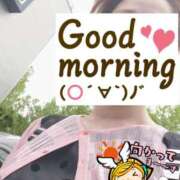 ヒメ日記 2025/08/01 06:25 投稿 もも トマトなび