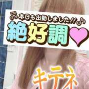 ヒメ日記 2025/08/01 07:33 投稿 もも トマトなび