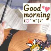 ヒメ日記 2025/08/02 06:25 投稿 もも トマトなび