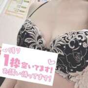 ヒメ日記 2025/08/02 09:27 投稿 もも トマトなび