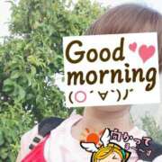 ヒメ日記 2025/08/04 06:23 投稿 もも トマトなび