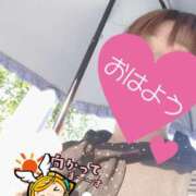 ヒメ日記 2025/08/05 06:21 投稿 もも トマトなび