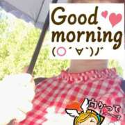 ヒメ日記 2025/08/08 06:27 投稿 もも トマトなび