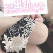 ヒメ日記 2025/08/09 22:34 投稿 もも トマトなび