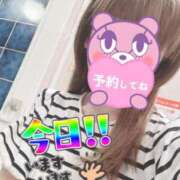 ヒメ日記 2025/08/10 07:35 投稿 もも トマトなび