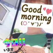 ヒメ日記 2025/08/15 06:22 投稿 もも トマトなび