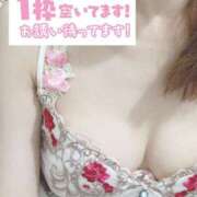 ヒメ日記 2025/08/15 09:50 投稿 もも トマトなび