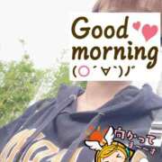 ヒメ日記 2025/08/19 06:27 投稿 もも トマトなび