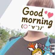 ヒメ日記 2025/08/22 06:27 投稿 もも トマトなび