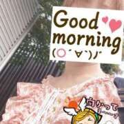 ヒメ日記 2025/08/26 06:30 投稿 もも トマトなび