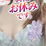 ヒメ日記 2025/08/30 11:09 投稿 もも トマトなび