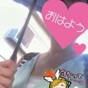 ヒメ日記 2025/09/02 06:26 投稿 もも トマトなび