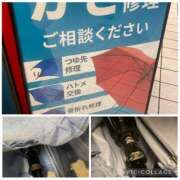 ヒメ日記 2025/09/02 17:00 投稿 もも トマトなび