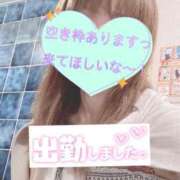 ヒメ日記 2025/09/06 07:36 投稿 もも トマトなび