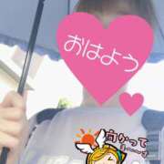 ヒメ日記 2025/09/08 06:27 投稿 もも トマトなび