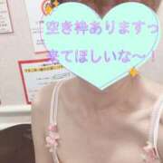 ヒメ日記 2025/09/08 09:22 投稿 もも トマトなび