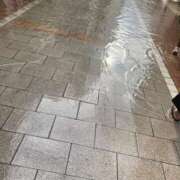 ヒメ日記 2025/09/11 15:52 投稿 もも トマトなび