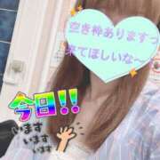 ヒメ日記 2025/09/15 07:29 投稿 もも トマトなび