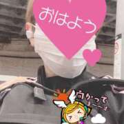 ヒメ日記 2025/09/23 06:24 投稿 もも トマトなび