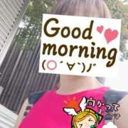 ヒメ日記 2025/09/27 06:30 投稿 もも トマトなび