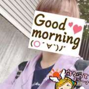 ヒメ日記 2025/10/10 06:25 投稿 もも トマトなび