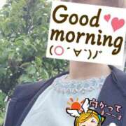 ヒメ日記 2025/10/11 06:22 投稿 もも トマトなび