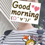 ヒメ日記 2025/10/12 06:21 投稿 もも トマトなび