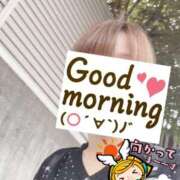 ヒメ日記 2025/10/13 06:16 投稿 もも トマトなび