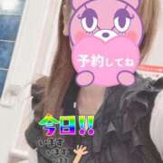 ヒメ日記 2025/10/14 07:41 投稿 もも トマトなび