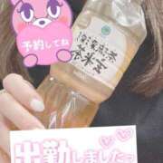 ヒメ日記 2025/10/16 07:50 投稿 もも トマトなび