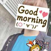 ヒメ日記 2025/10/17 06:24 投稿 もも トマトなび