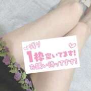 ヒメ日記 2025/10/20 10:17 投稿 もも トマトなび