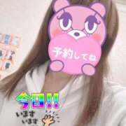 ヒメ日記 2025/10/24 07:44 投稿 もも トマトなび