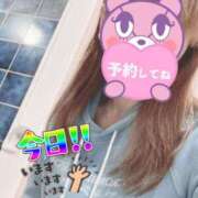 ヒメ日記 2025/10/25 07:33 投稿 もも トマトなび