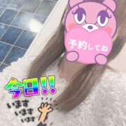 ヒメ日記 2025/10/27 07:42 投稿 もも トマトなび