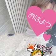 ヒメ日記 2025/10/28 06:25 投稿 もも トマトなび