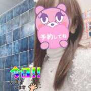 ヒメ日記 2025/10/28 07:39 投稿 もも トマトなび