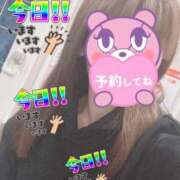 ヒメ日記 2025/10/29 07:54 投稿 もも トマトなび