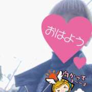 ヒメ日記 2025/10/30 06:26 投稿 もも トマトなび