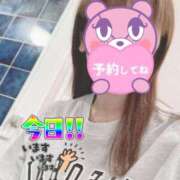 ヒメ日記 2025/11/01 07:32 投稿 もも トマトなび