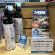 ヒメ日記 2025/11/01 18:57 投稿 もも トマトなび