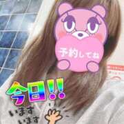 ヒメ日記 2025/11/03 07:31 投稿 もも トマトなび