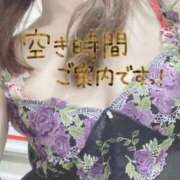 ヒメ日記 2025/11/03 10:22 投稿 もも トマトなび