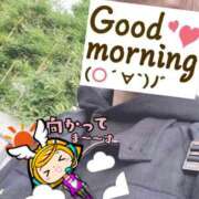 ヒメ日記 2025/11/04 06:21 投稿 もも トマトなび